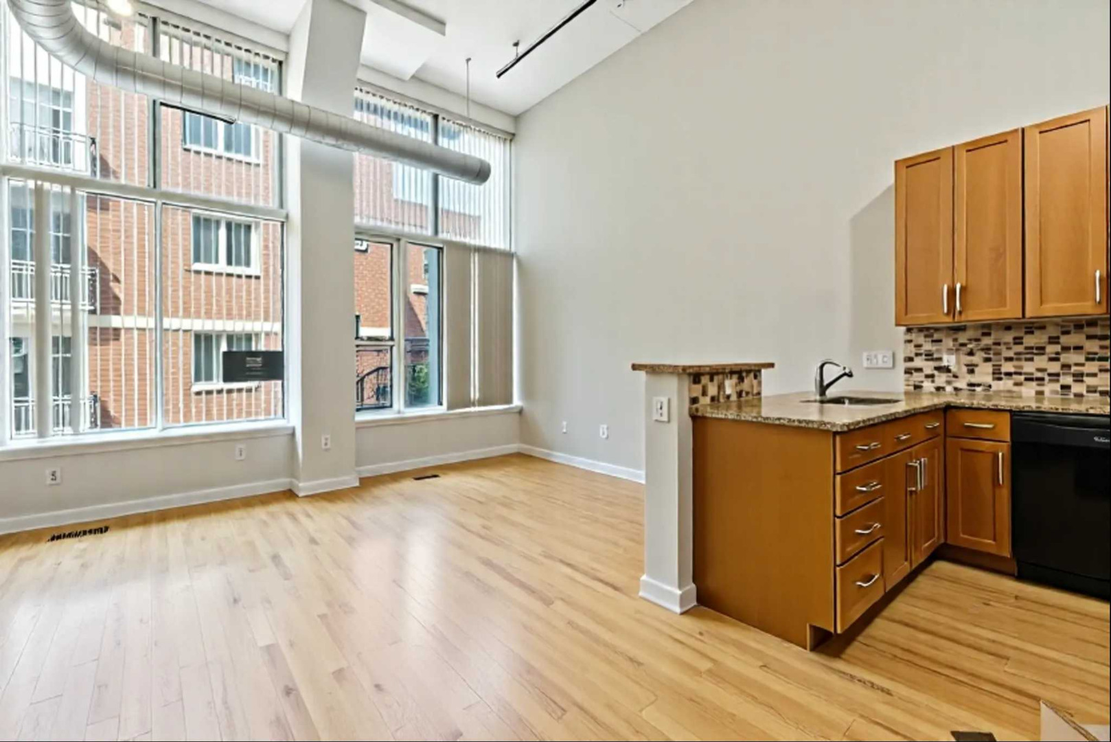 1224 W Van Buren Street 217