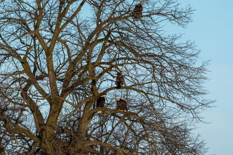 Tiny photo for 39450 N Circle Avenue, Antioch, IL 60002 (MLS # 12469462)