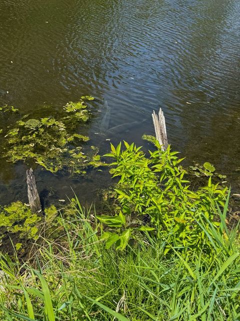 Tiny photo for 39450 N Circle Avenue, Antioch, IL 60002 (MLS # 12469462)