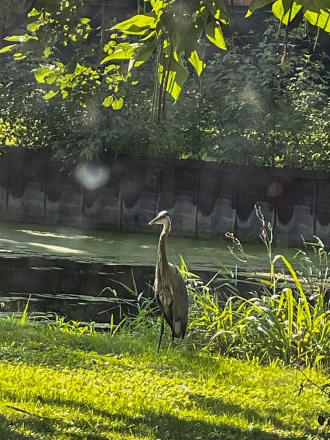 Tiny photo for 39450 N Circle Avenue, Antioch, IL 60002 (MLS # 12469462)