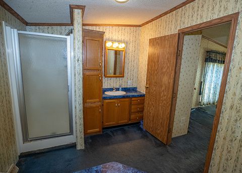 Tiny photo for 190 Schwartz Hill Lane, Vienna, IL 62995 (MLS # 12571886)