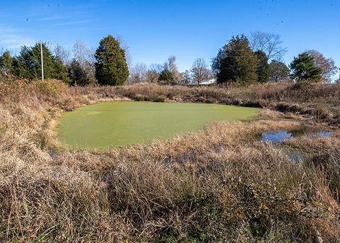 Tiny photo for 190 Schwartz Hill Lane, Vienna, IL 62995 (MLS # 12571886)