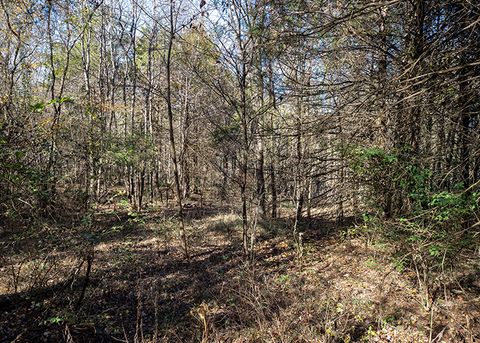 Tiny photo for 190 Schwartz Hill Lane, Vienna, IL 62995 (MLS # 12571886)