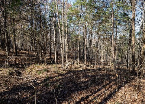 Tiny photo for 190 Schwartz Hill Lane, Vienna, IL 62995 (MLS # 12571886)