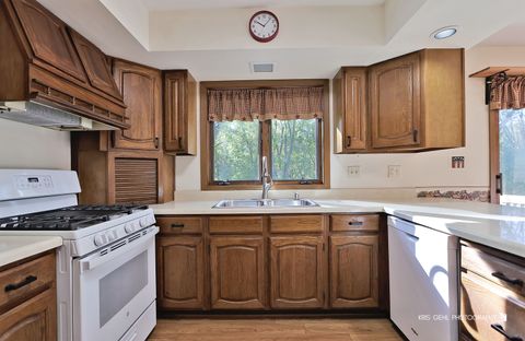 Tiny photo for 150 E Depot Street, Antioch, IL 60002 (MLS # 12501549)