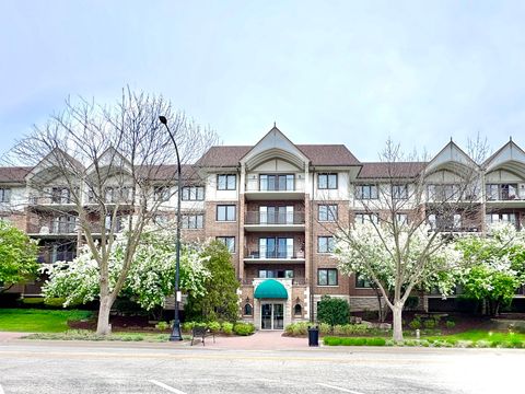 5 S Pine Street 403 Mount Prospect IL 60056