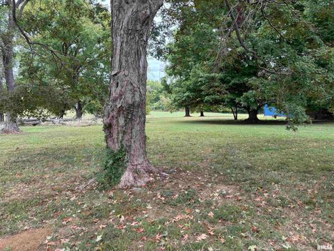 Tiny photo for 122 CENTER Street, Anna, IL 62906 (MLS # EB459916)