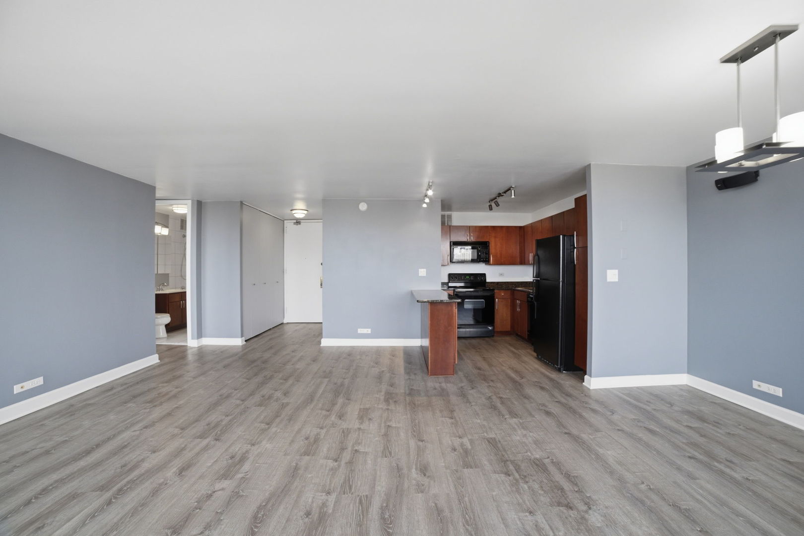 655 W IRVING PARK Road 1704