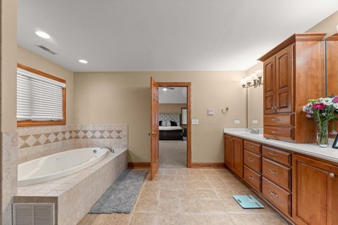 Tiny photo for 10838 Moose Lane, Orland Park, IL 60467 (MLS # 12692481)