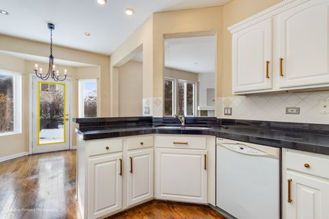 Tiny photo for 1141 Delta Court, Elgin, IL 60123 (MLS # 12515357)