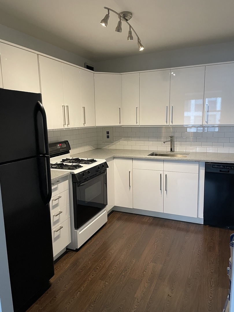 253 E Delaware Place 13B