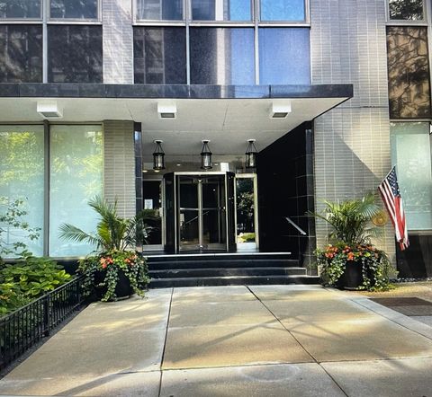 253 E Delaware Place 13B Chicago IL 60611