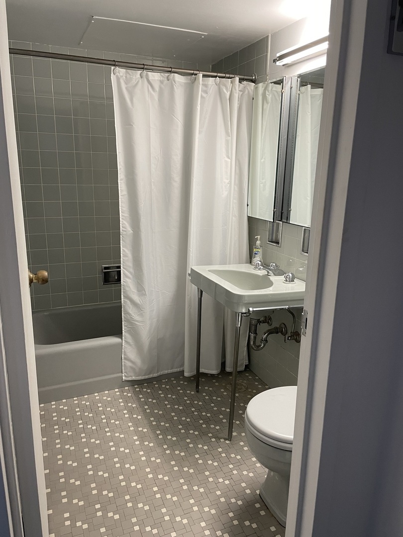 253 E Delaware Place 13B