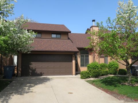 1321 Dresden Drive C Morris IL 60450