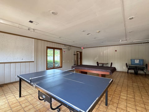 Tiny photo for 217 Lakeshore Lane, Bloomingdale, IL 60108 (MLS # 12737980)