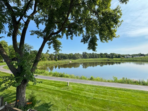 Tiny photo for 217 Lakeshore Lane, Bloomingdale, IL 60108 (MLS # 12737980)