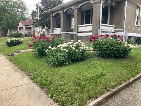 Tiny photo for 209 W Dakota Street, Spring Valley, IL 61362 (MLS # 12727766)