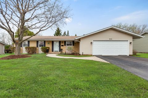 Photo of 920 W Firestone Drive, Hoffman Estates, IL 60192 (MLS # 12615269)