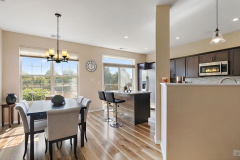 Tiny photo for 24037 W Pear Tree Circle, Plainfield, IL 60585 (MLS # 12480081)