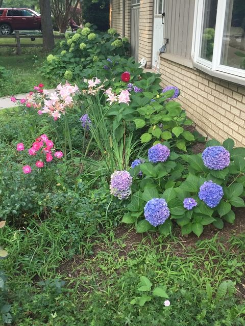 Tiny photo for 305 Montclare Lane, Wood Dale, IL 60191 (MLS # 12424201)