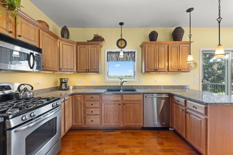 Tiny photo for 21392 Sea Ray Lane, Wilmington, IL 60481 (MLS # 12670410)