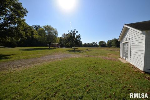 Tiny photo for 11455 E Richview Road, Mt Vernon, IL 62864 (MLS # EB459934)