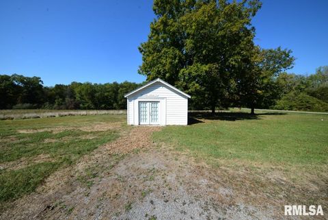 Tiny photo for 11455 E Richview Road, Mt Vernon, IL 62864 (MLS # EB459934)