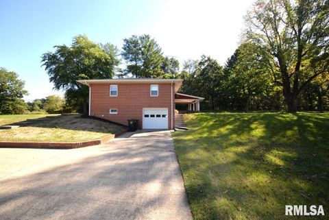 Tiny photo for 11455 E Richview Road, Mt Vernon, IL 62864 (MLS # EB459934)