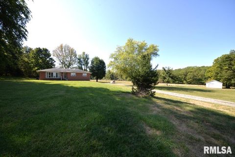Tiny photo for 11455 E Richview Road, Mt Vernon, IL 62864 (MLS # EB459934)