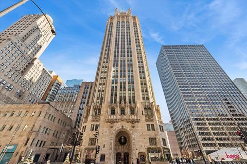 Photo of 435 N Michigan Avenue #503, Chicago, IL 60611 (MLS # 12638264)