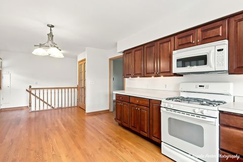 Tiny photo for 303 N Green Street, McHenry, IL 60050 (MLS # 12713205)