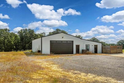 Tiny photo for 9975 IL-37 Route, Goreville, IL 62939 (MLS # EB459219)