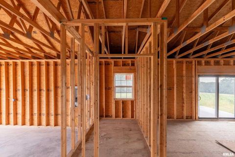 Tiny photo for 9975 IL-37 Route, Goreville, IL 62939 (MLS # EB459219)