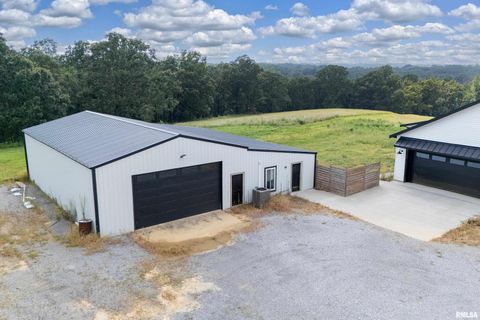 Tiny photo for 9975 Route 37, Goreville, IL 62939 (MLS # EB459219)