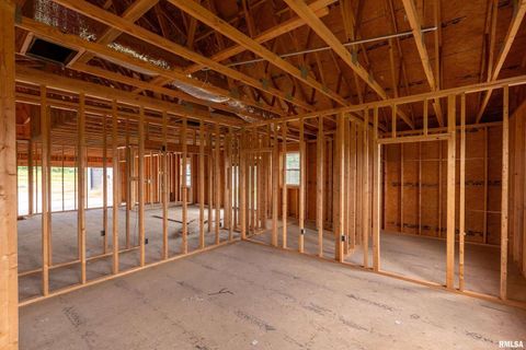 Tiny photo for 9975 IL-37 Route, Goreville, IL 62939 (MLS # EB459219)