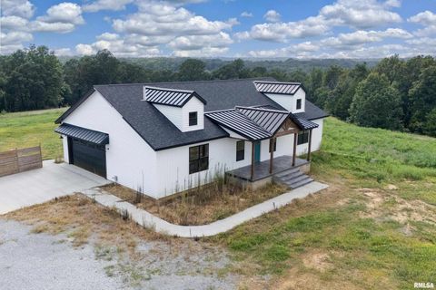 Tiny photo for 9975 IL-37 Route, Goreville, IL 62939 (MLS # EB459219)