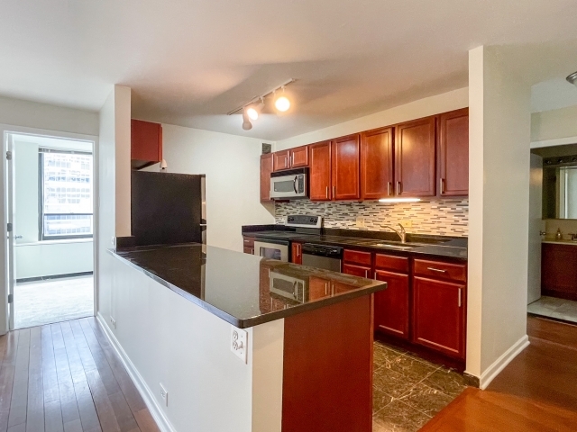 222 E Pearson Street 1206
