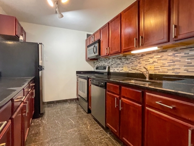 222 E Pearson Street 1206
