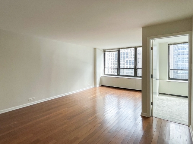 222 E Pearson Street 1206