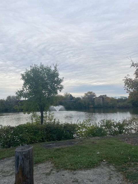 Tiny photo for 5900 Oakwood Drive #1L, Lisle, IL 60532 (MLS # 12505130)