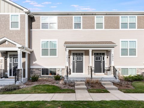 A home in South Elgin