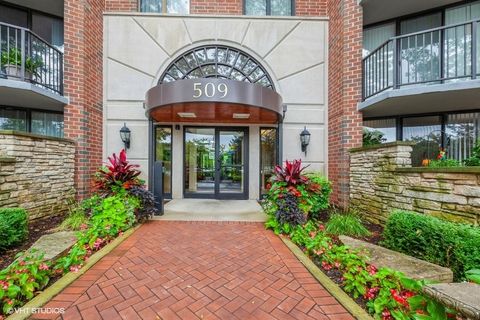 Tiny photo for 509 AURORA Avenue #117, Naperville, IL 60540 (MLS # 12448081)