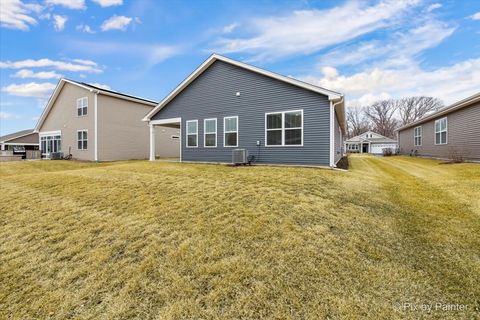 Tiny photo for 243 Durham Street, North Aurora, IL 60542 (MLS # 12580532)