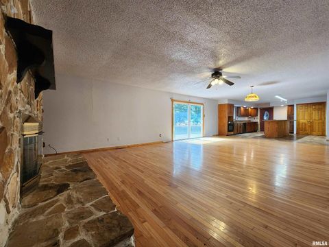 Tiny photo for 10107 Sugar Creek Road, Benton, IL 62812 (MLS # EB458873)