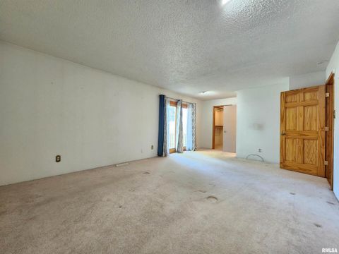 Tiny photo for 10107 Sugar Creek Road, Benton, IL 62812 (MLS # EB458873)