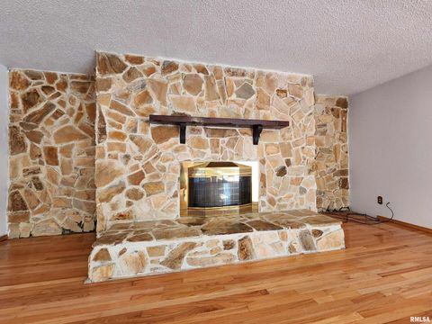 Tiny photo for 10107 Sugar Creek Road, Benton, IL 62812 (MLS # EB458873)