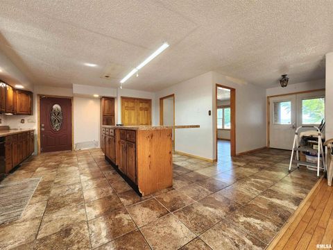 Tiny photo for 10107 Sugar Creek Road, Benton, IL 62812 (MLS # EB458873)