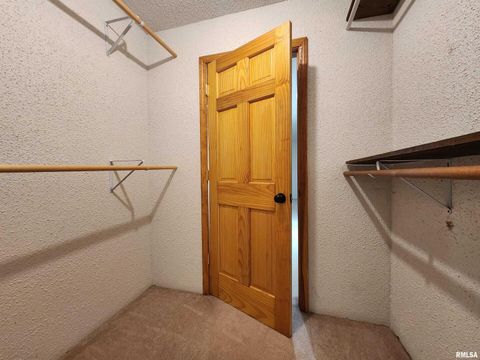 Tiny photo for 10107 Sugar Creek Road, Benton, IL 62812 (MLS # EB458873)