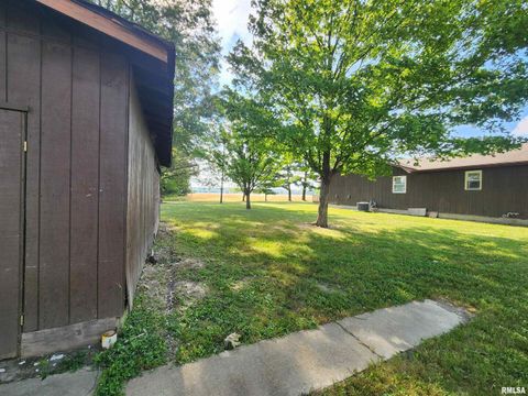 Tiny photo for 10107 Sugar Creek Road, Benton, IL 62812 (MLS # EB458873)