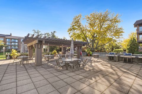 Tiny photo for 44 Park Lane #223, Park Ridge, IL 60068 (MLS # 12499421)